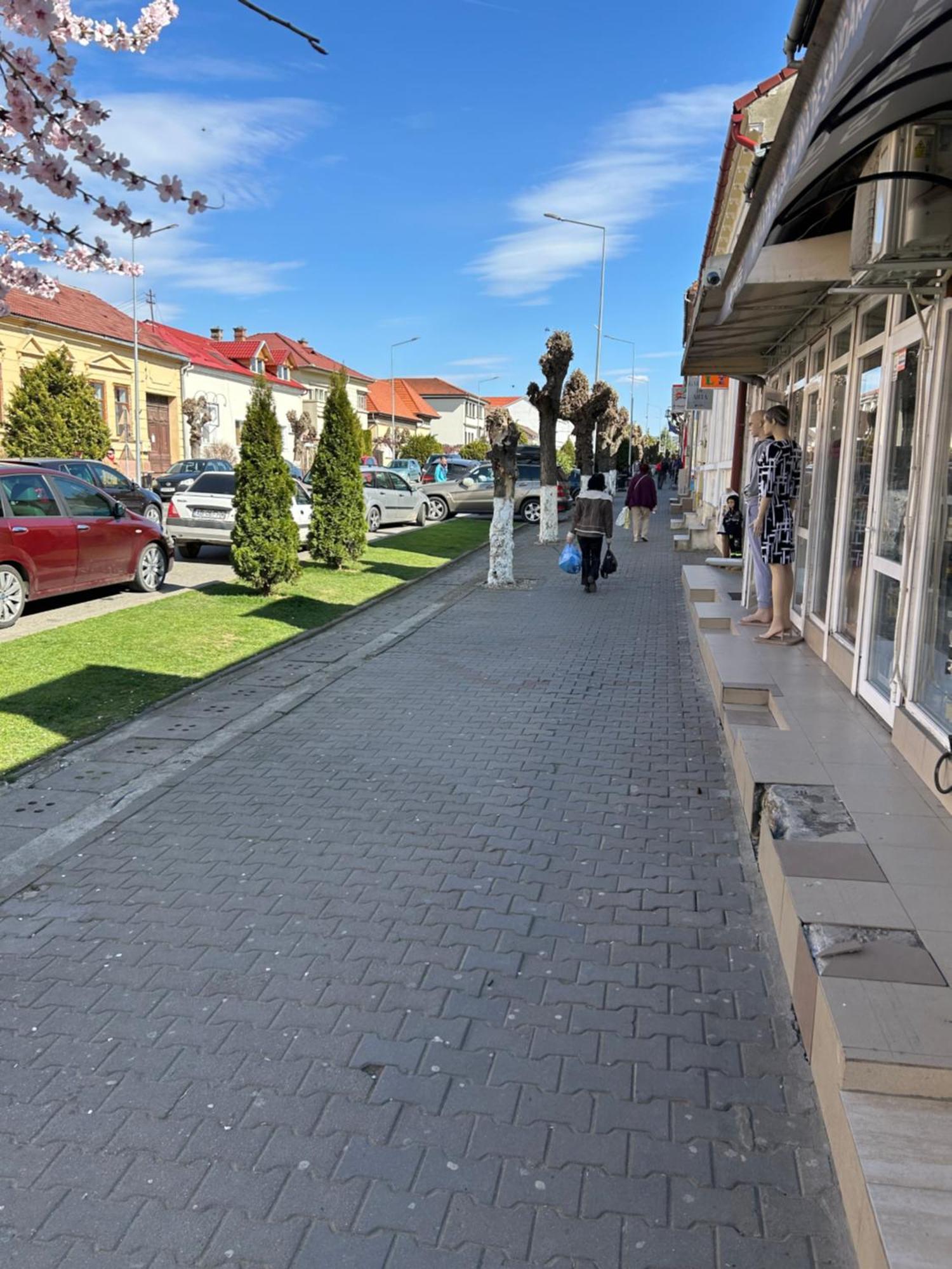 Bivolul Negru Apartment Blaj Екстериор снимка