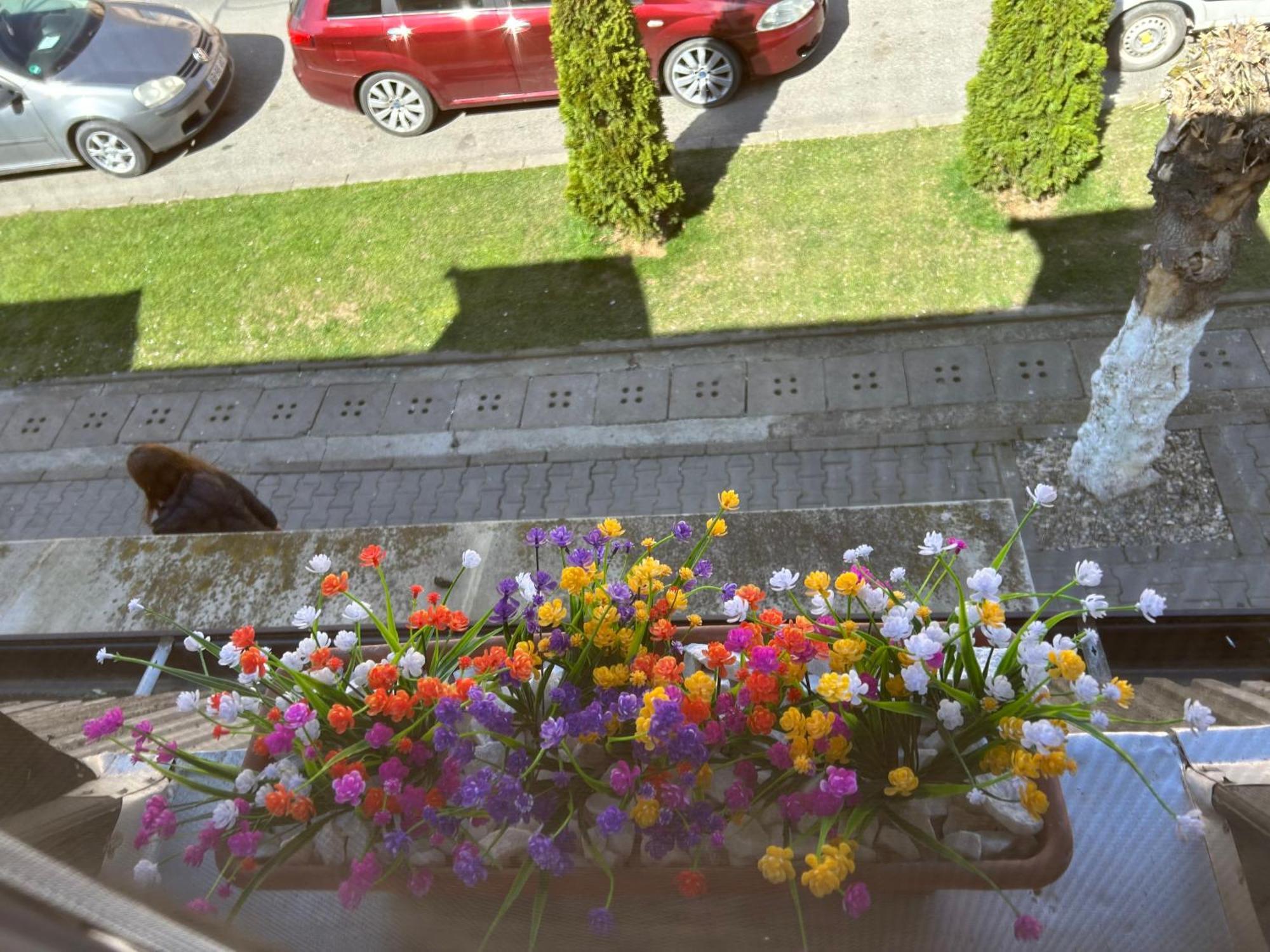 Bivolul Negru Apartment Blaj Екстериор снимка